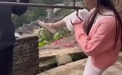 九力热线视频精品免费